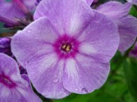 P1050186