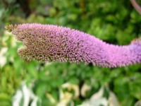 P1050067