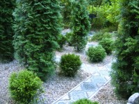 Наташа  туи около арабской беседки