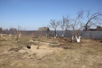 роща
