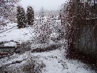 DSC00834