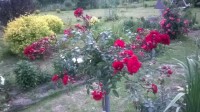 IMG 20140630 WA0000