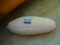 тыква