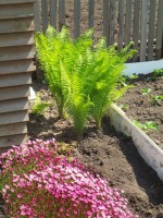 Изображение 011