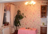 IMGP1879   копия