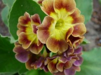 P1010476
