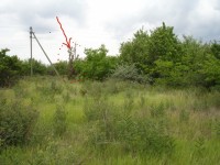 DSC02804 1