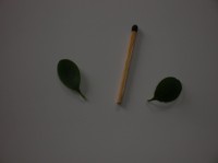 Изображение 301