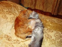 DSC02347