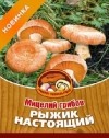 грибы
