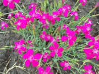 Изображение 045