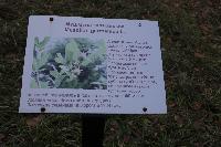 IMG 6276