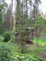 IMG 6074