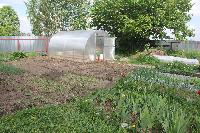 IMG 4676