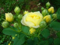 2013 06 21 001 047