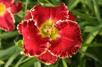 АЛЫЕ ПАРУСА