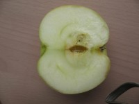 Народное срез