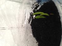 IMG 7577