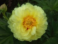 20130614 120908