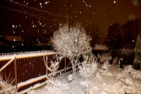 IMG 4623
