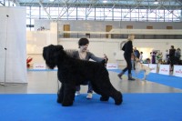 IMG 3745