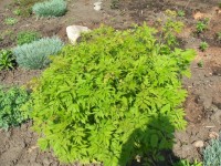 Изображение 065