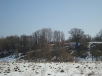 DSC06324
