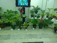 WP 20150708 15 49 10 Pro