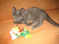 IMG 4783