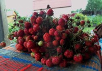Изображение 062