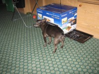 IMG 4790