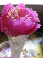 2014 06 25 10 43 12