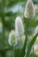 IMG 5296