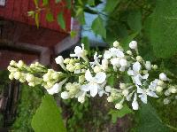 IMG 6508 12 06 17 10 43