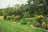 IMG 9773