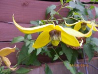 IMGP4472