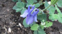 Изображение 009