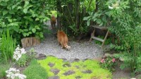 зеркало с котом