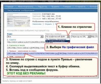 радикал