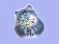 кошка