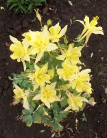 Изображение 068