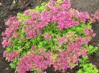 Изображение 088