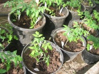 Изображение 010