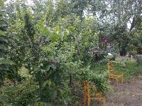 rps20150414 062600