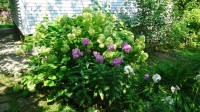 DSC00108  2