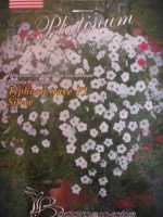 Это семена которые я посадила