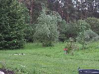 DSC00640