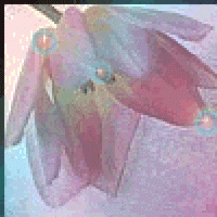 file php avatar 4196 1357382654