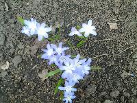 20160422 123646