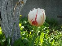 DSC00060